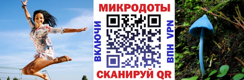 цена наркотик  Багратионовск  Галлюциногенные грибы мицелий 